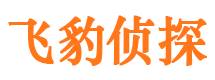 关岭私人侦探